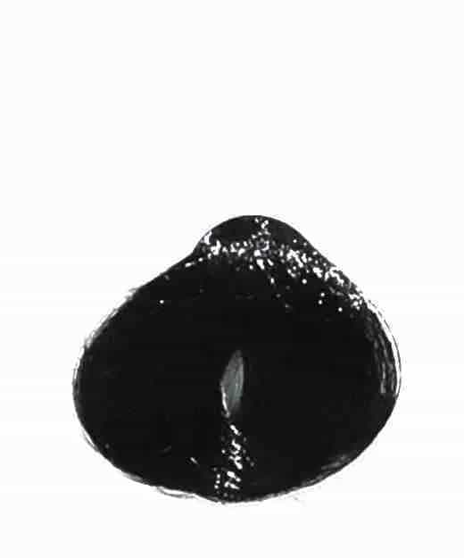 Tinta Color-Ton Tocco Magico Bruno 2N 100 ML